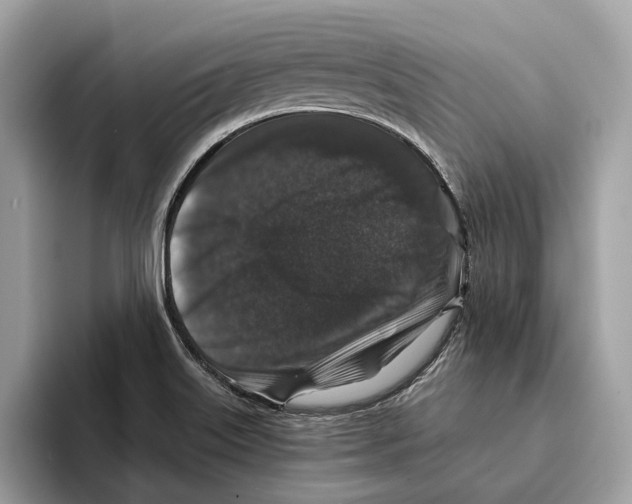 X0000095541515200801111423