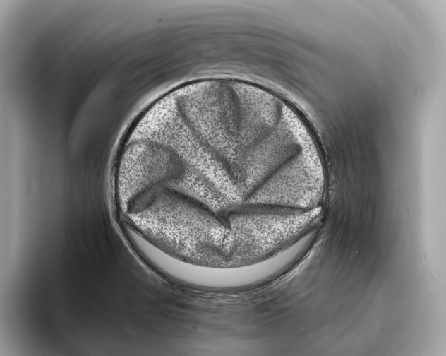 X0000095541517200801111423