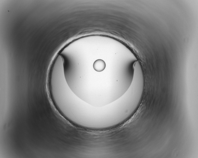 X0000095541518200801111423