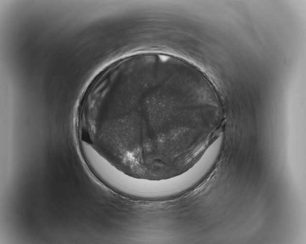 X0000095541519200801111423