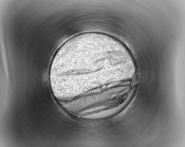 X0000095541521200801111423