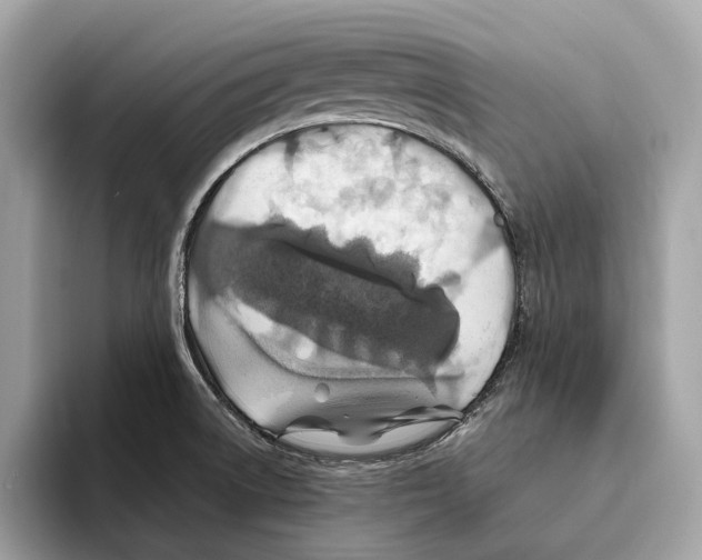 X0000095541522200801111423