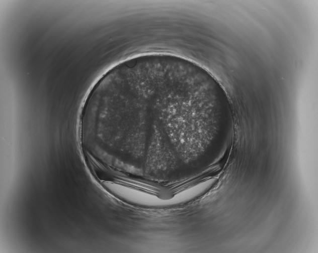 X0000095541527200801111423