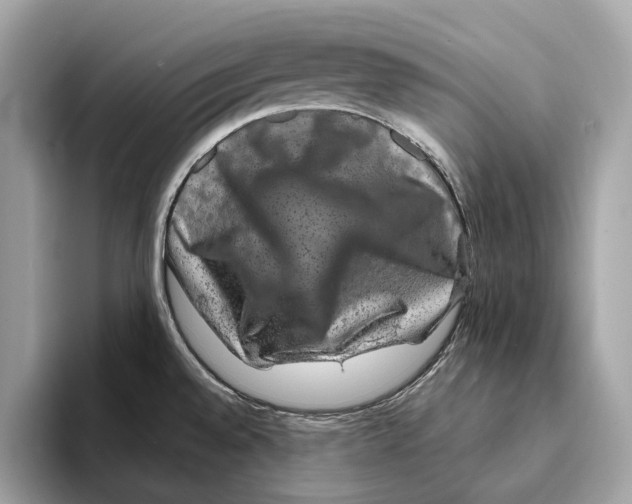 X0000095541528200801111423