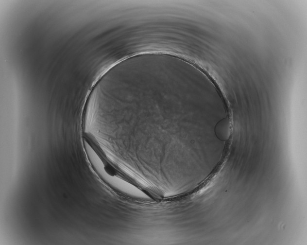 X0000095541529200801111423