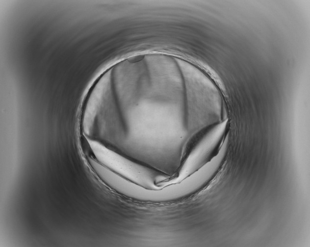 X0000095541530200801111423