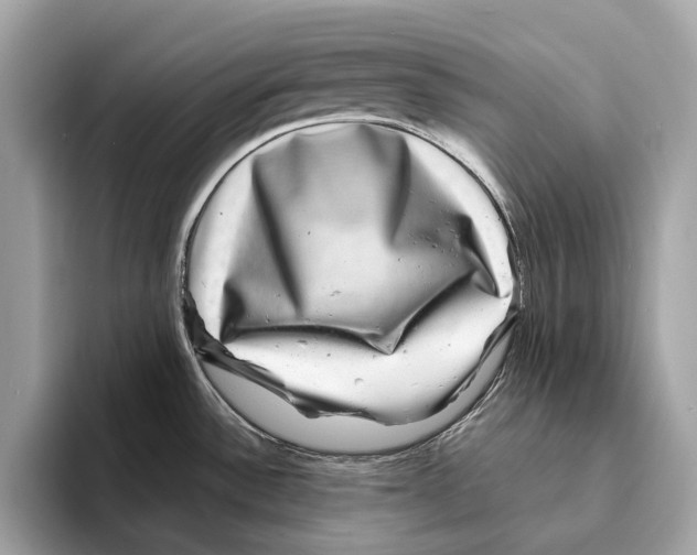 X0000095541532200801111423