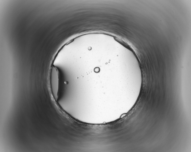 X0000095541534200801111423