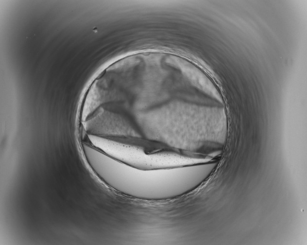 X0000095541536200801111423