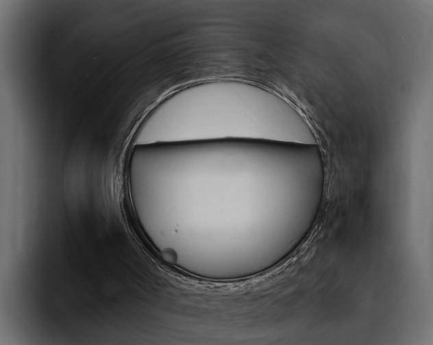 X0000095550002200712140945