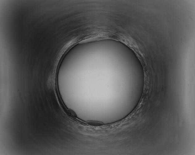 X0000095550003200712140945