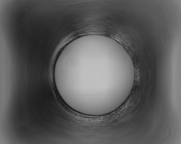 X0000095550004200712140945