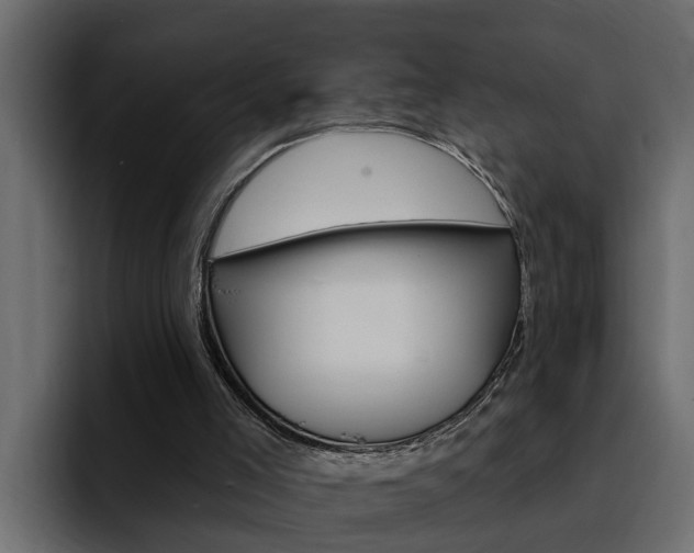X0000095550005200712140944