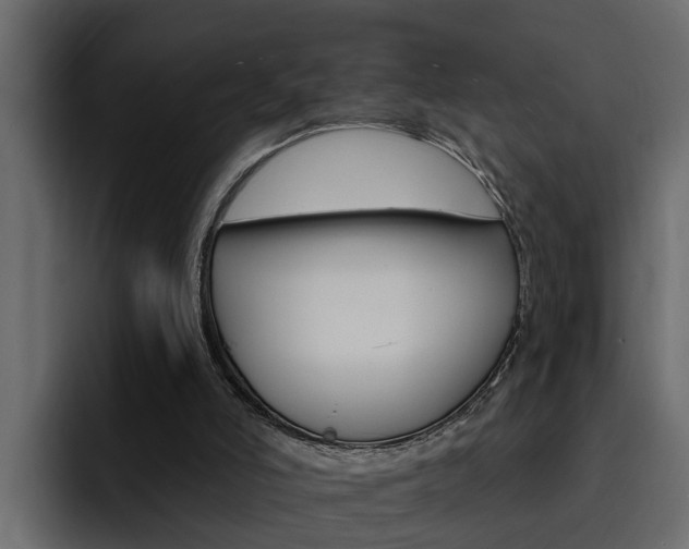 X0000095550006200712140944