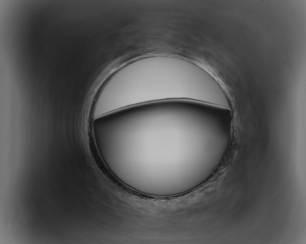 X0000095550007200712140944