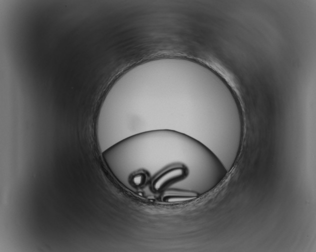 X0000095550009200712140944