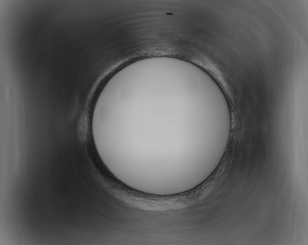 X0000095550012200712140944