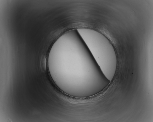 X0000095550014200712140944