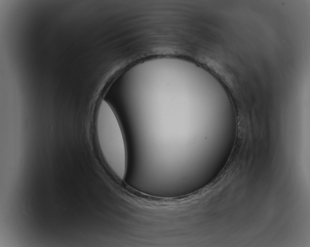 X0000095550015200712140944