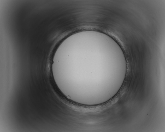 X0000095550016200712140944