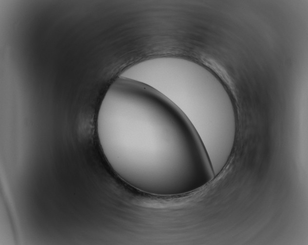 X0000095550017200712140944