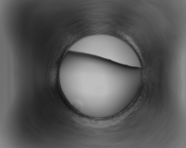 X0000095550018200712140944
