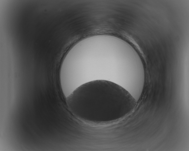 X0000095550019200712140944