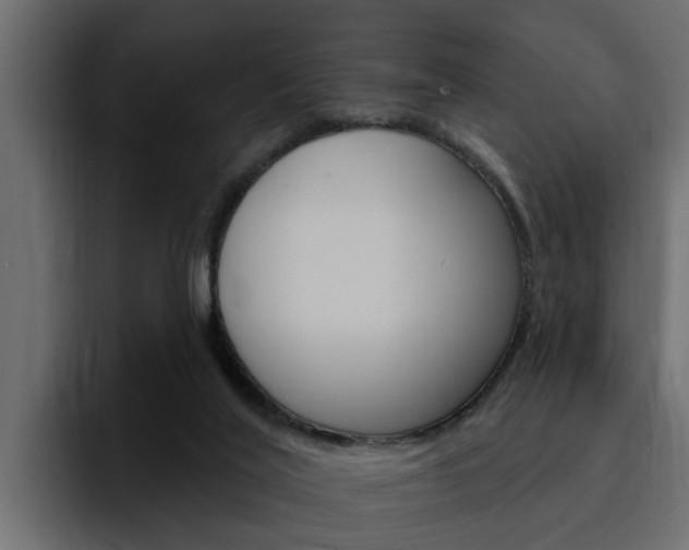X0000095550020200712140944