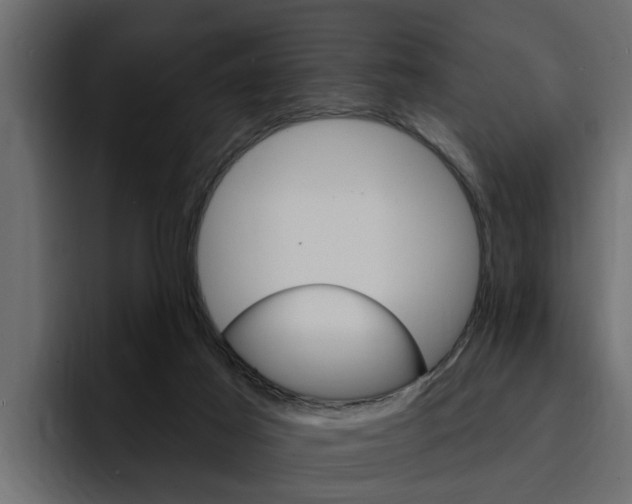 X0000095550021200712140944