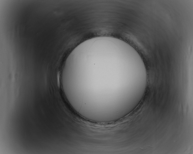 X0000095550022200712140944