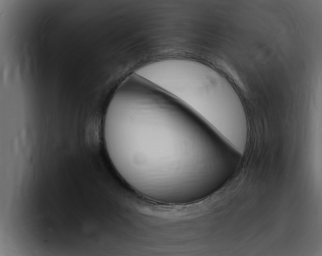 X0000095550023200712140944