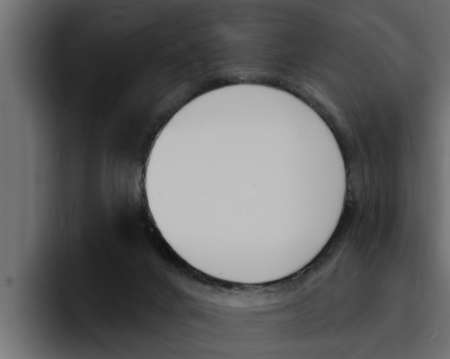 X0000095550024200712140944