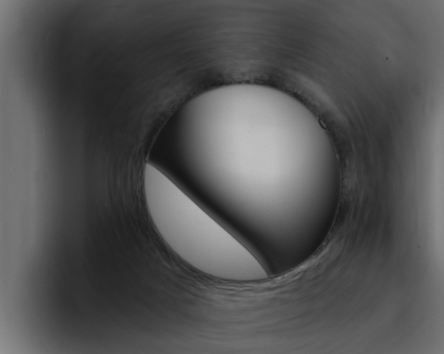 X0000095550025200712140944