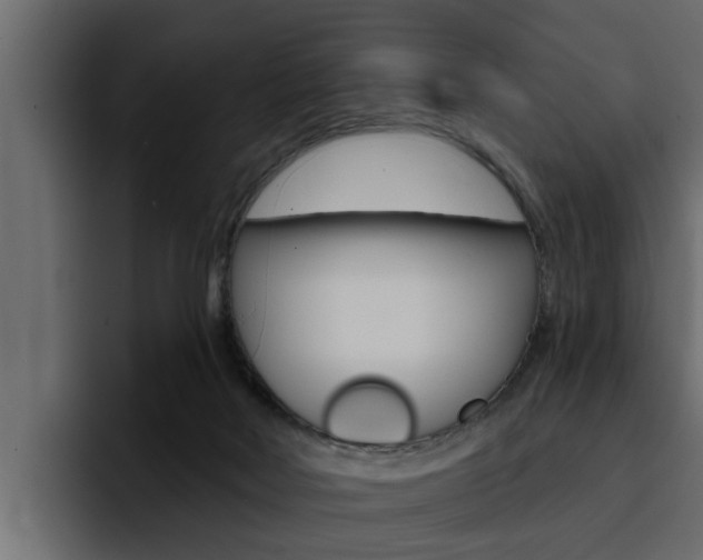 X0000095550026200712140944