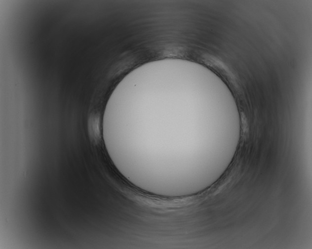 X0000095550028200712140944