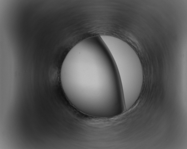 X0000095550029200712140944