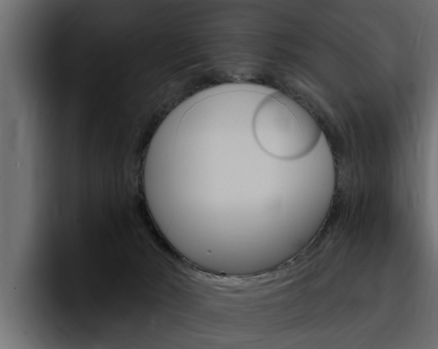 X0000095550030200712140944