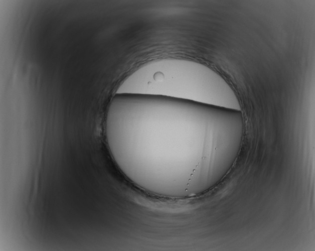 X0000095550032200712140944