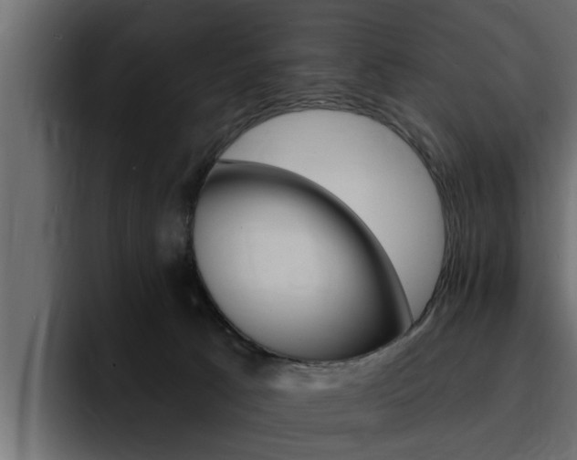 X0000095550033200712140944