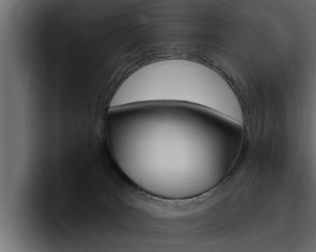 X0000095550035200712140944