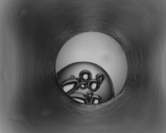 X0000095550037200712140944