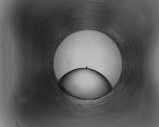 X0000095550039200712140944