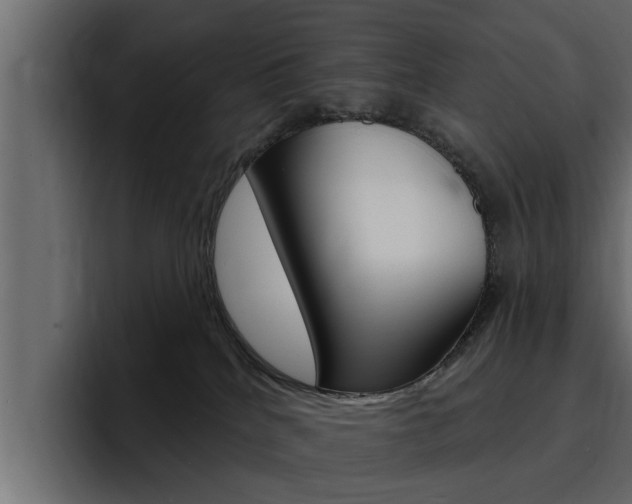 X0000095550040200712140944
