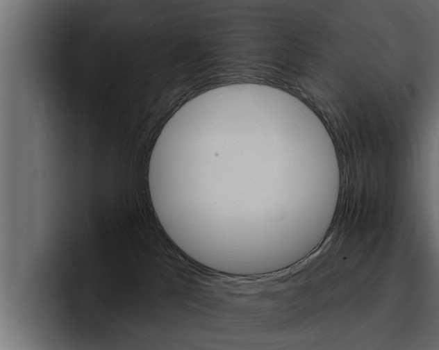 X0000095550041200712140944