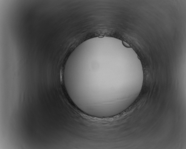 X0000095550042200712140944