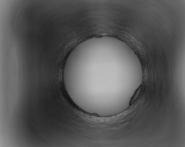 X0000095550043200712140944