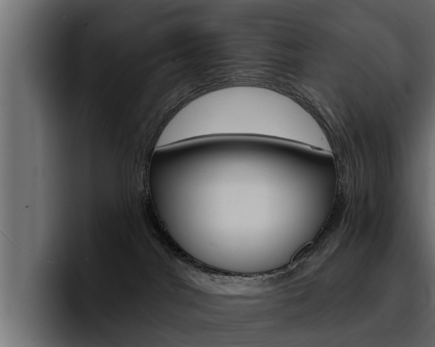 X0000095550044200712140944