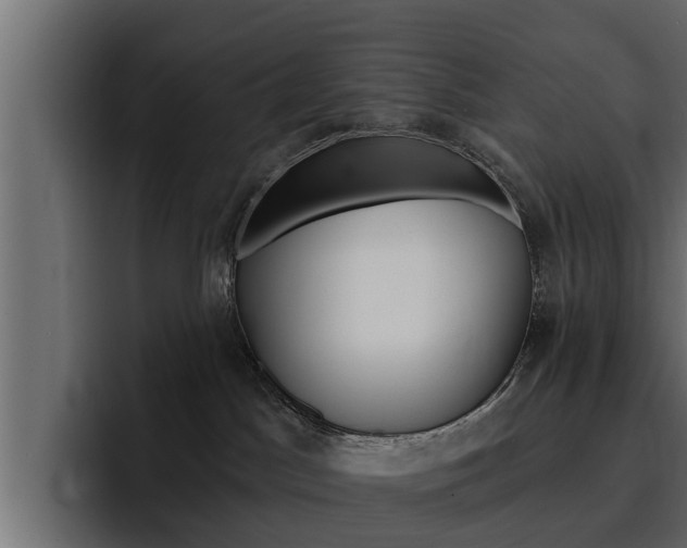 X0000095550045200712140944
