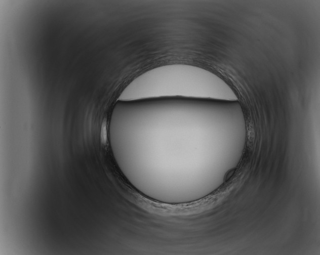 X0000095550046200712140944