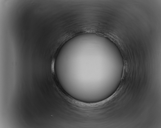 X0000095550047200712140944